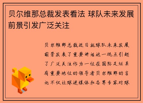 贝尔维那总裁发表看法 球队未来发展前景引发广泛关注