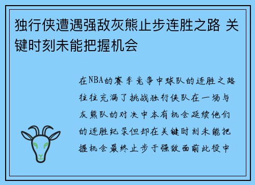 独行侠遭遇强敌灰熊止步连胜之路 关键时刻未能把握机会