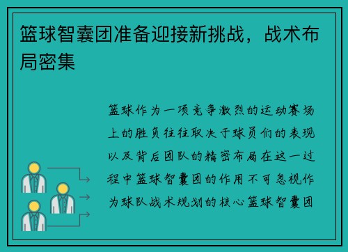 篮球智囊团准备迎接新挑战，战术布局密集